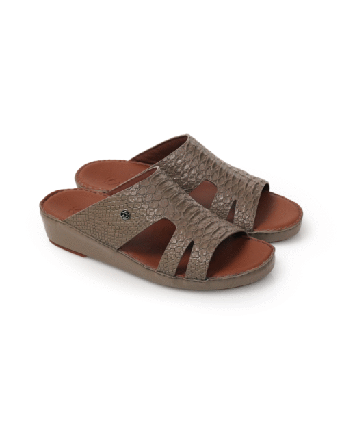 Men Sandal Model 45 Earth